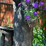 木屋 Drevenica Linda Liptovská Osada