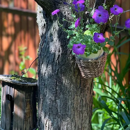 木屋 Drevenica Linda Liptovská Osada